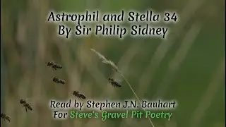 Astrophil and Stella 34, by Sir Philip Sidney, read by Stephen JN Bauhart #poetry #sleep #love #art