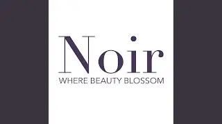 Noir Noir Noir