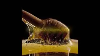 Honey 🍯 🔥‼️#edit #halal #memes #july