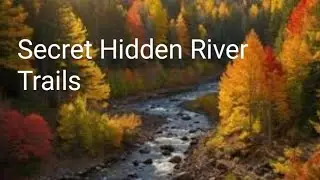 Back to the HiddenTrails