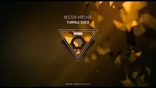 TECH HOUSE _ Nestor Arriaga - Turtle Juice (Original Mix)