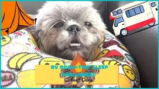 RV road trip off-road sleep challenges - RV life - Cutest Dogs