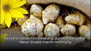 Bessere Ged&auml;chtnisleistung durch Prebiotika? Neue Studie macht Hoffnung