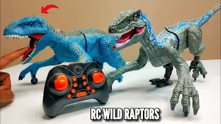 RC Real Simulation Raptor Animal Unboxing & Testing - Toy Unboxing