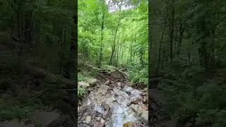A stream flowing into Juniata river, Central PA, May 2025!