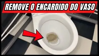 COMO LIMPAR O VASO SANITÁRIO COM VINAGRE - REMOVE CALCÁRIO E MAU CHEIRO