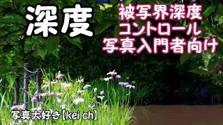 被写界深度コントロール