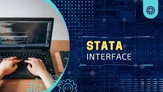 About the STATA program interface [ENG]