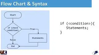 If Statement in Java