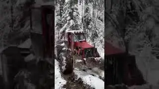 Muncă la pădure Iarna ,Taf