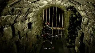 Dark Souls - Female Undead Merchant 