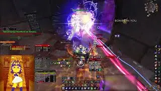 Turtle wow - Feral dps - Maexxna + Anomalus POV