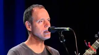David Wilcox 