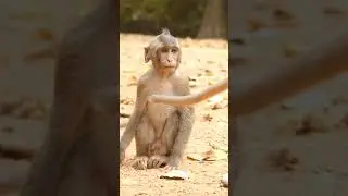 He wants to play with another group!