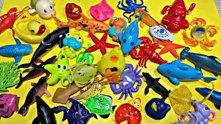 🐥 ASMR_Video * A Lot Of SEA Animals Toy in This Video I  No Music *