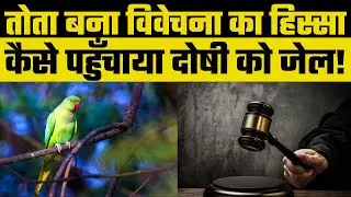 Agra में Murder Case में Parrot बना विवेचना का हिस्सा, Police को बताया कि 