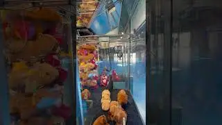 Thorpe Park Claw Machine! #shorts #arcade #clawmachine