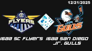 16AA SC Flyers vs. 16AA SD Jr. Gulls 12/21/25