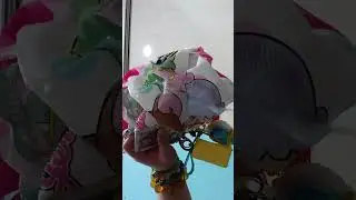 251013 203056