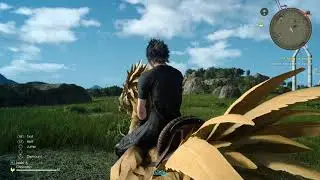 Давайте поиграем в Final Fantasy XV #026 (Royal Edition) &mdash; не в The Bees!