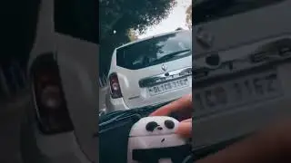 Panda Airpods Case