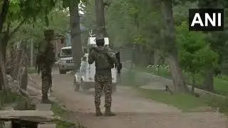 #WATCH | J&K: 3 LeT terrorists have been killed in an encounter with security forces in Kashmir