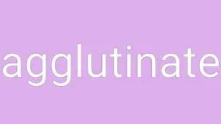 Agglutinate Definition & Meaning