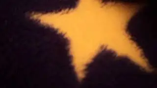MOV03351