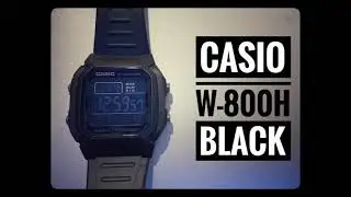 Casio W-800H-1BVES Review