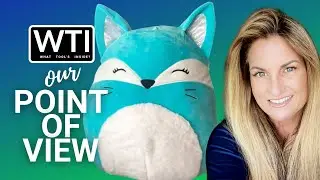 Our Point of View on Squishmallows Pania Blue Fox Plush Toy