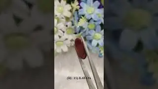 Red Jasper: 15 (8.48 Carat)