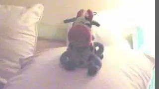 deedle dude.wmv