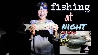 AMAZING FISHING||How to catch tailor using gang hook with Floater||Vlog18||Western Australia