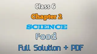 Class 6 Science Chapter 2 Food All solution Learn Smartly