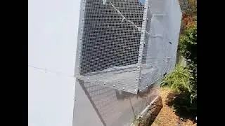Quality Aviary Set-up - South East Queensland