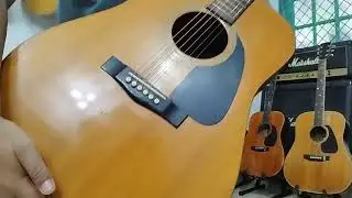 FENDER GEMINI II 1988
