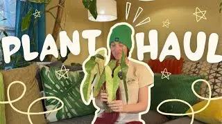 My Insane Rare Plant Haul from Southeast Plant Show