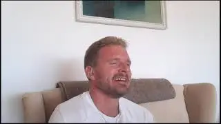Kulkuri ja joutsen - Wille