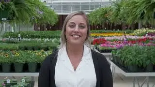 The Greenhouse Company & Hart County High School:  Amazing Greenhouses, Plants, & People