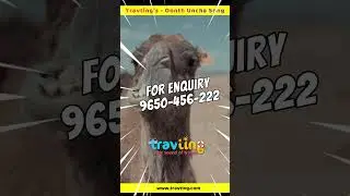 Oonth Uncha Travting&rsquo;s - Just for Fun Song