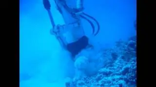 ABYSS presentation