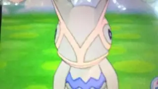 Shiny Kecleon after 107 REs! (Shiny Charm)