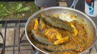 Back Yard Cooking / Florida Hassar Curry A Guyanese Delicacy