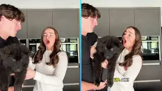 🐕 FULL New New Puppy Surprise Compilation 2026 | Let Emotions.