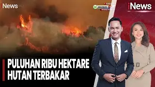 Kekabaran Hebat Puluhan Ribu Hektare Hutan | iNews Pagi (03/03)