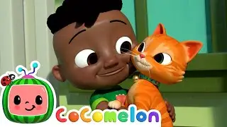 Take Care of Your Pets Song! | Healthy Routines & Good Habits For Kids | CoComelon Nursery Rhymes 🍉