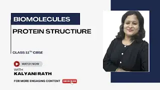 Protein structure (Protein part 2)