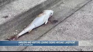 Trash, dead fish left around Lake Charles lakefront causing frustration