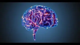 Blue Brains
