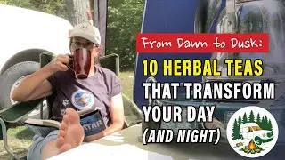 10 Herbal Teas That Transform Your Day (and Night)!